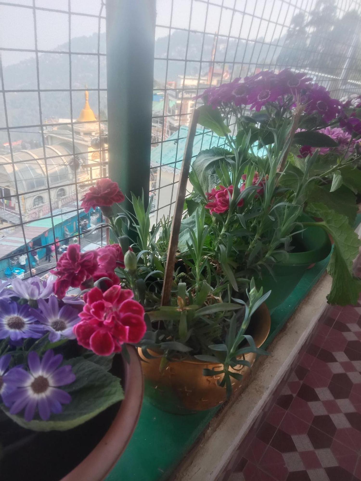 Beverly Hills Home Stay Darjeeling  Extérieur photo