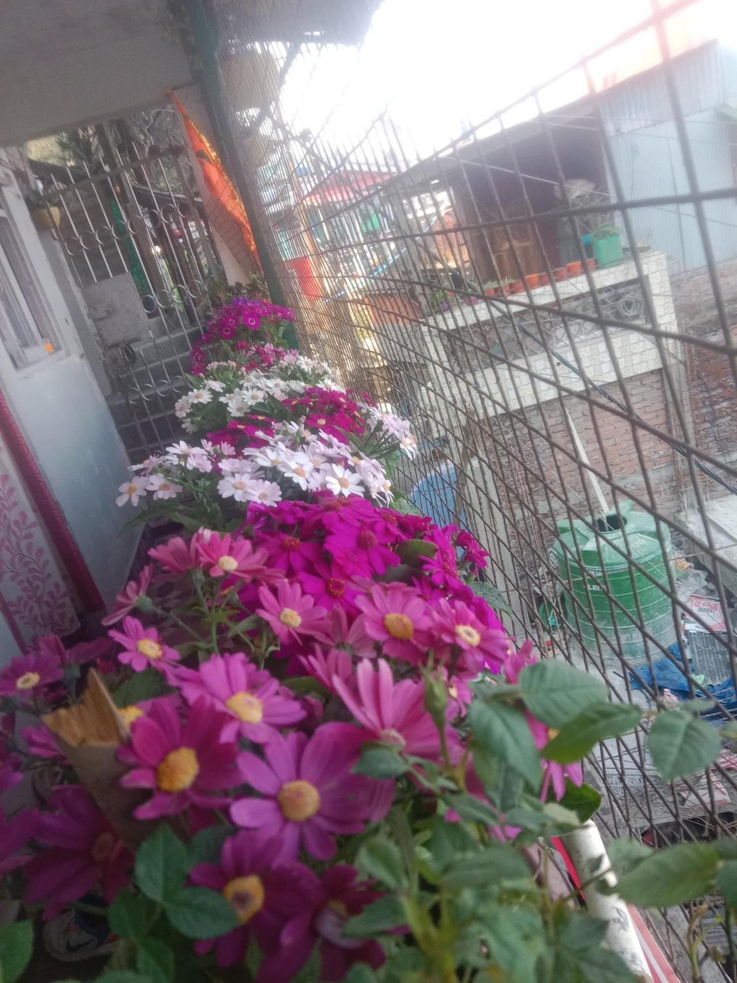 Beverly Hills Home Stay Darjeeling  Extérieur photo