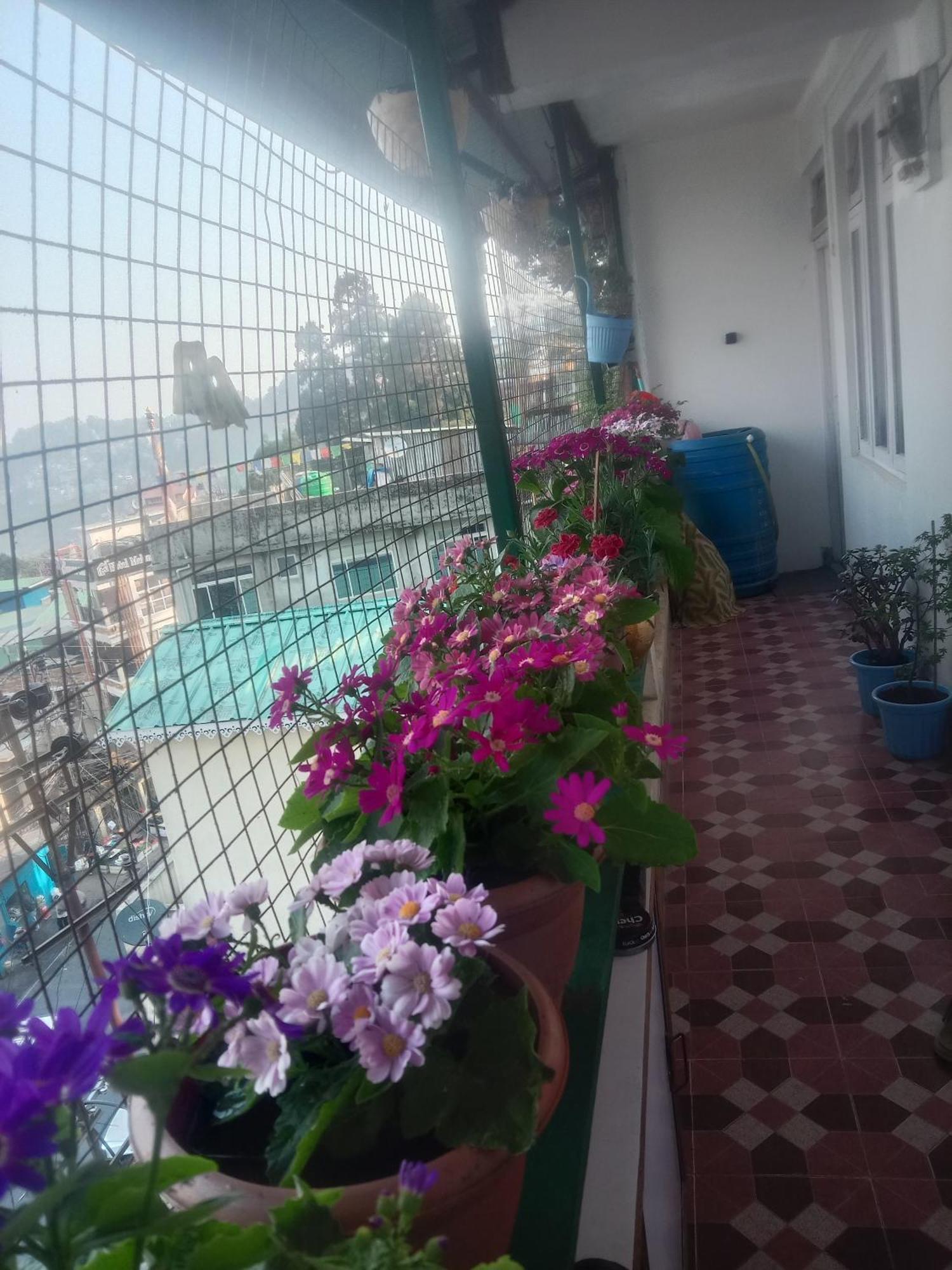 Beverly Hills Home Stay Darjeeling  Extérieur photo